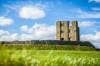 Whitby Castle