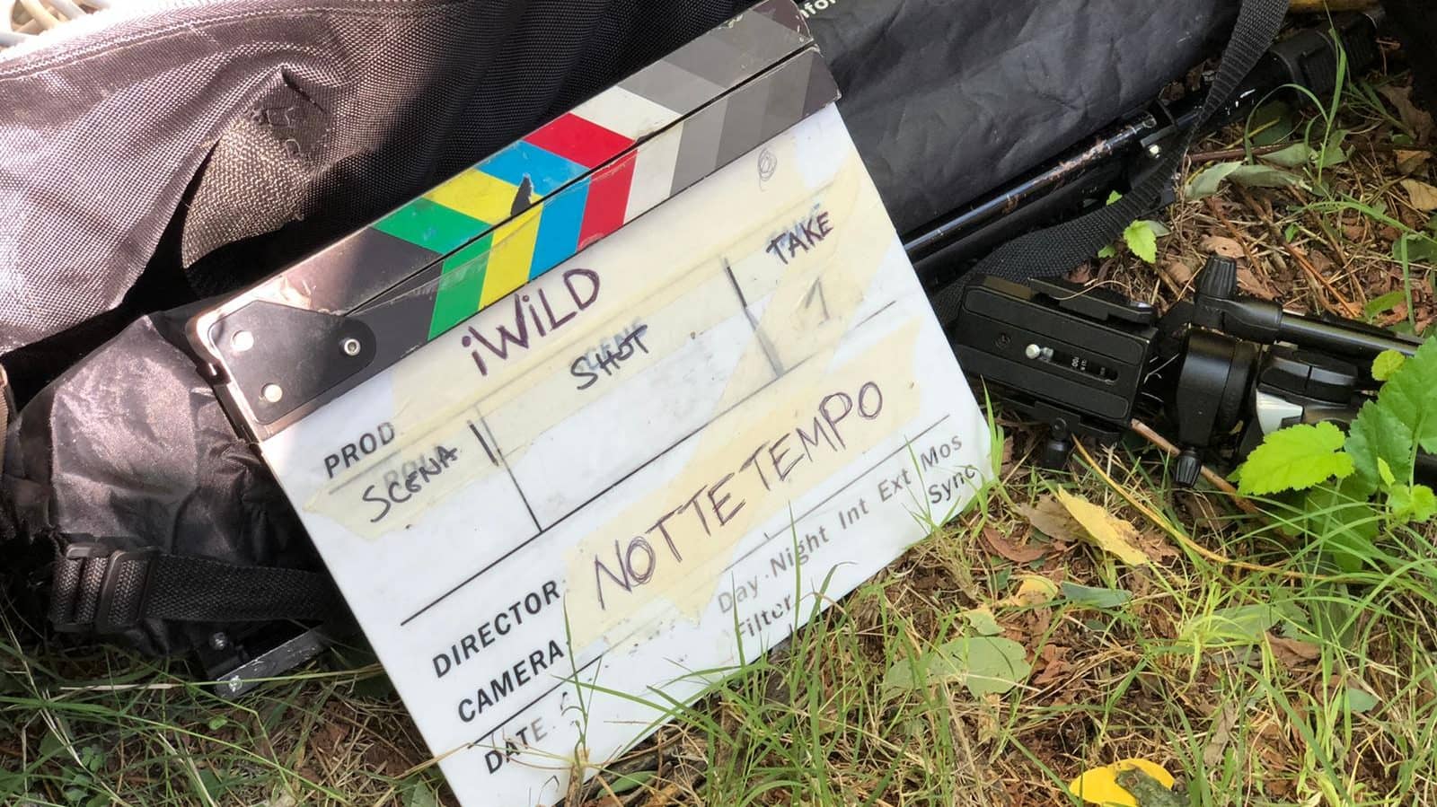 Ciak iWild
